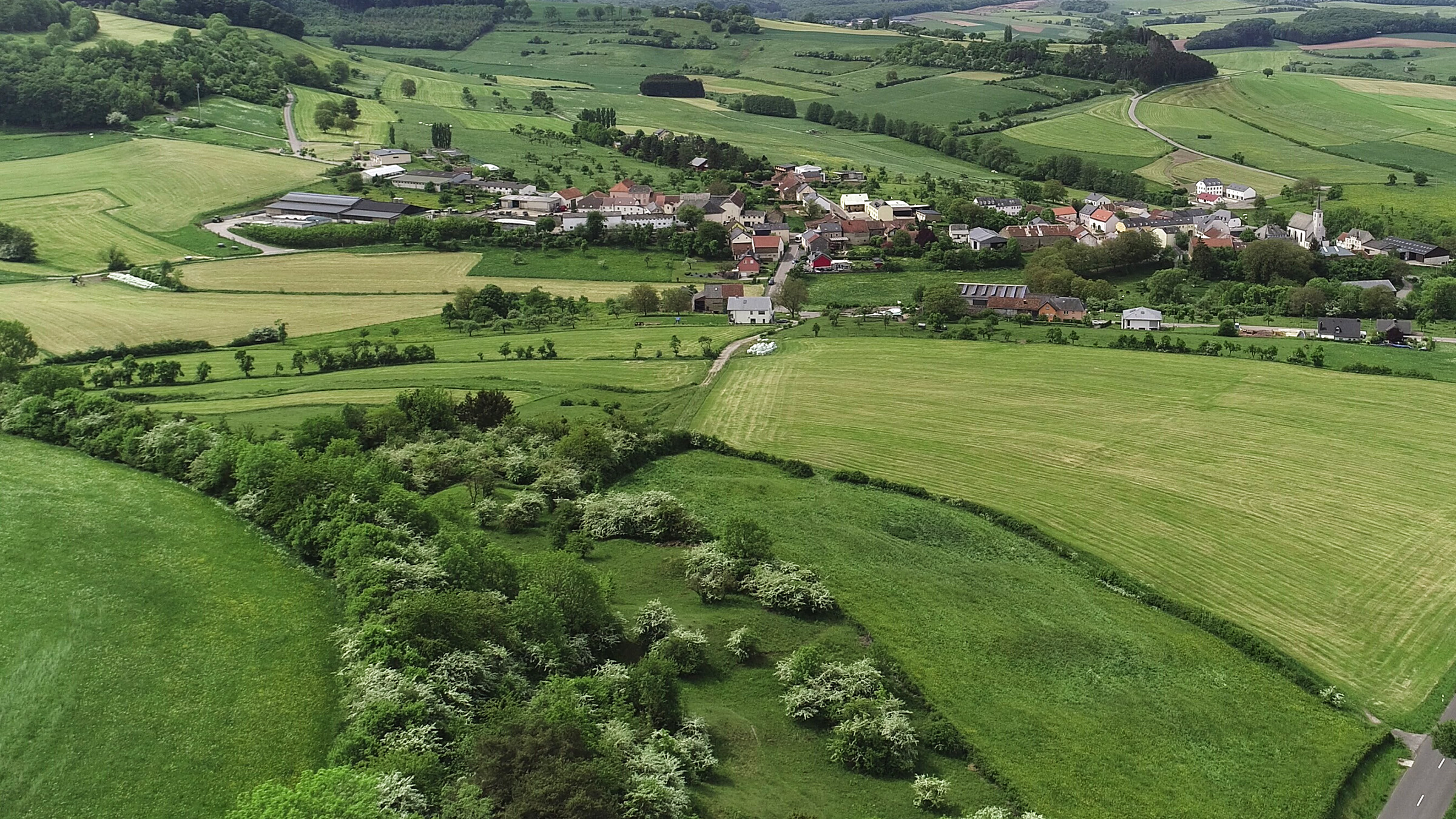 Drone picture showing Eppeldorf from above